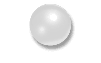 ZSI 100 FTM Malleable Implant for Neopenis